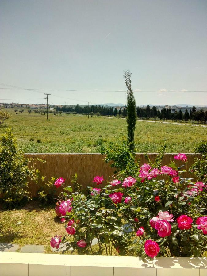Studio Poseidonia Apartment 75Sqm Corinth Canal Esterno foto